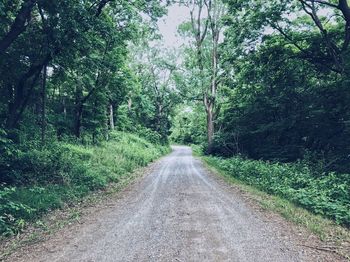 Road amidst trees in forest