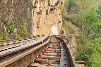 Railroad tracks amidst trees