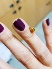 Close-up of ladybug on hand