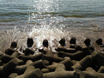 High angle view of people on beach