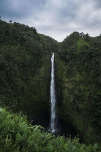 Scenic view of waterfall in forest against sky