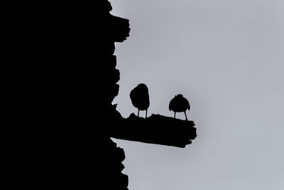 Low angle view of silhouette man against sky at dusk