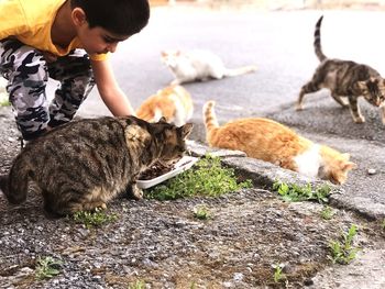 Full length of boy eating cat