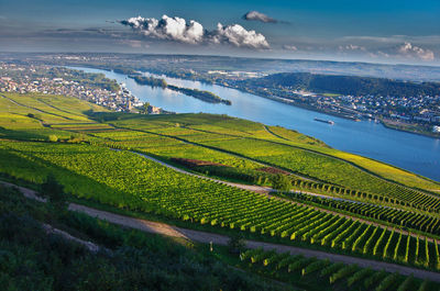 High angle view of vineyard by river against sky
