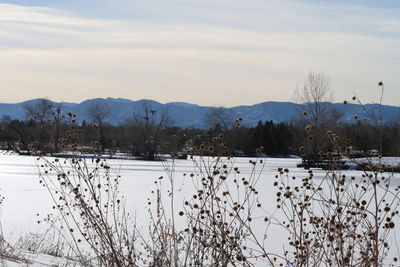 Scenic view of lake against sky during winter