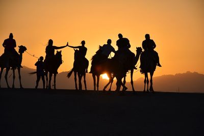 Silhouette people riding during sunset