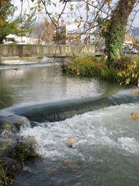 Scenic view of river amidst trees