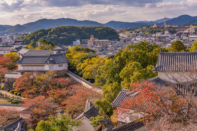 High angle view of trees and buildings in city