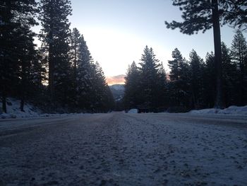 Road amidst trees against sky during winter