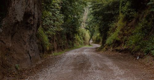 Dirt road amidst trees in forest