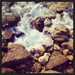 Close-up of rocks in water