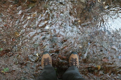 Low section of person standing in puddle