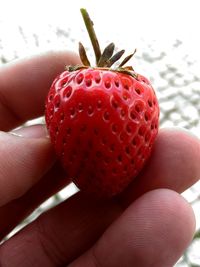 Close-up of strawberries