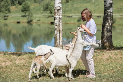 Girl feeds and plays with goats on a farm