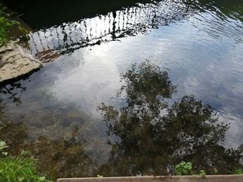 High angle view of tree by lake against sky