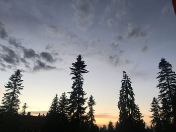 Low angle view of silhouette trees against sky during sunset