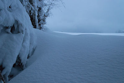 Scenic view of snow covered landscape