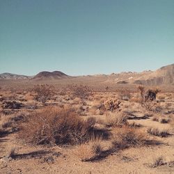 Scenic view of landscape against clear sky