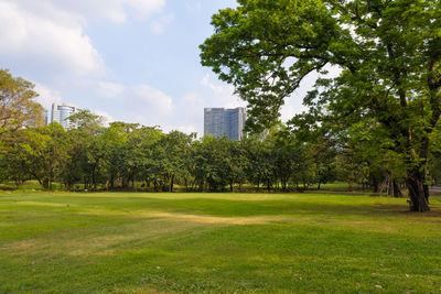 Trees growing on field against sky in park