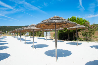 Thatched roofs at beach resort against blue sky on sunny day