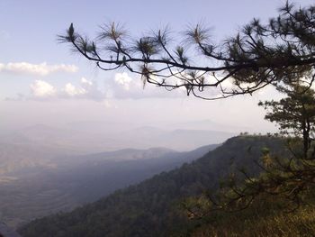 Scenic view of tree mountains against sky