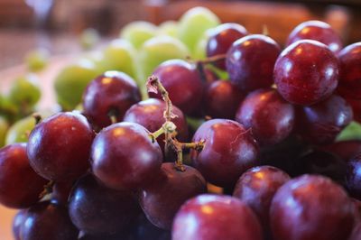 Close-up of grapes