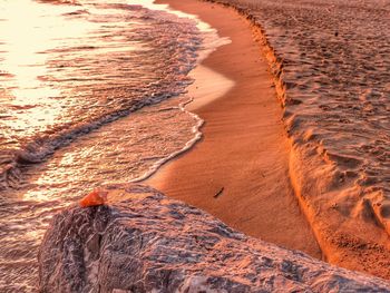 Sand dune on beach