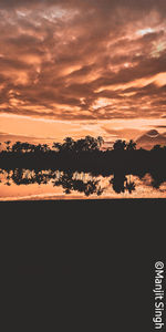 Silhouette trees by lake against orange sky