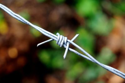 Close-up of barbed wire on fence