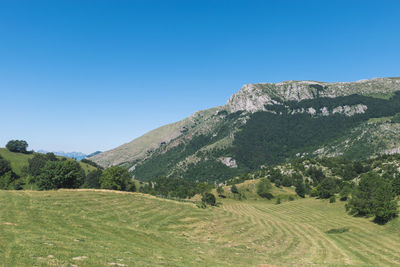 Scenic view of landscape against clear blue sky