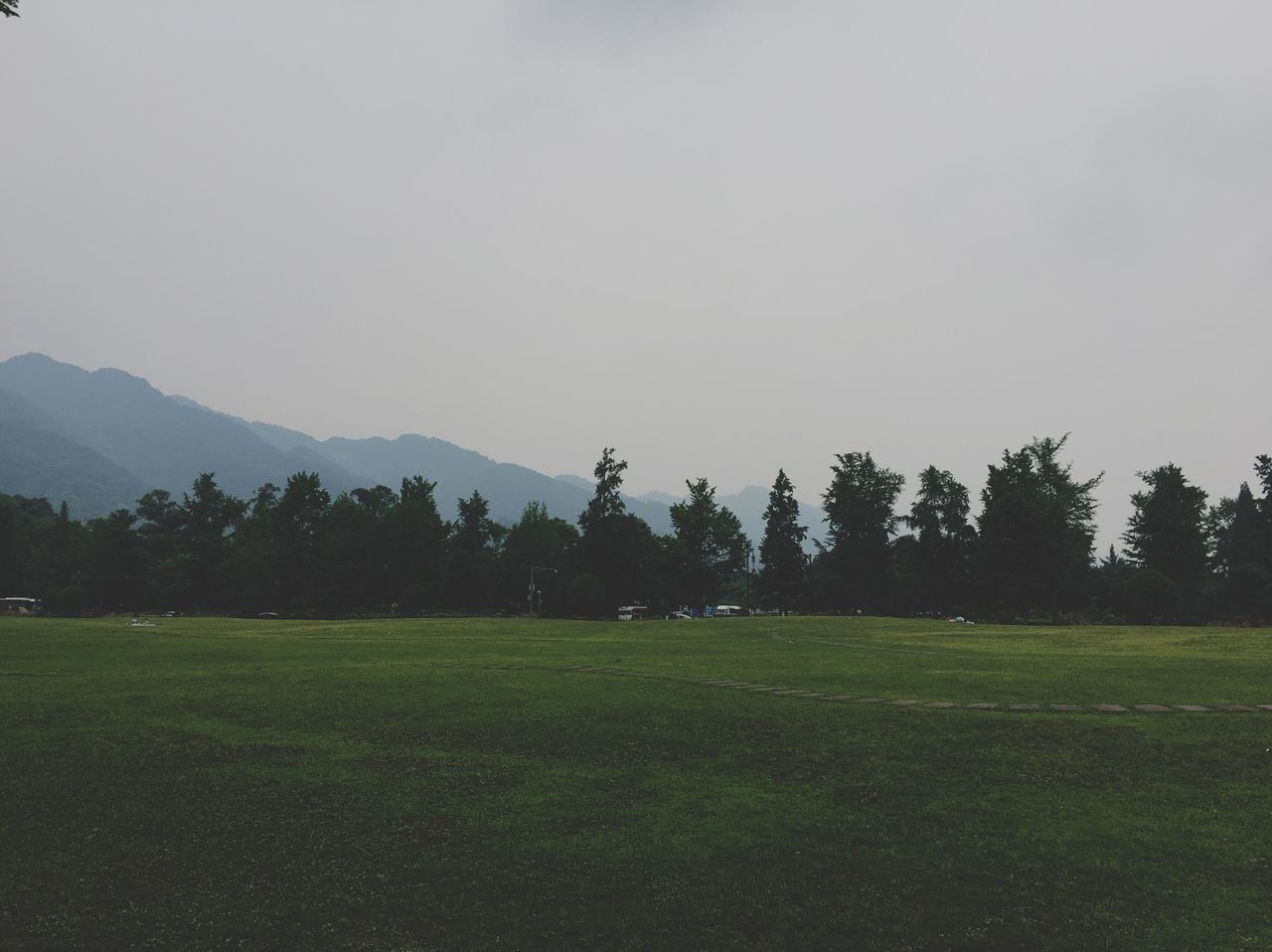 tranquility, tree, grass, nature, beauty in nature, field, tranquil scene, landscape, scenics, green color, growth, no people, clear sky, outdoors, day, sky, mountain, green - golf course, golf course