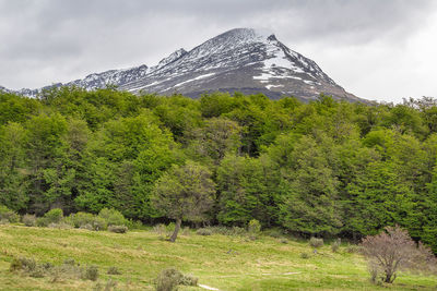 Scenic view of green landscape and mountains against sky