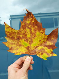 Cropped hand holding autumn leaf against house