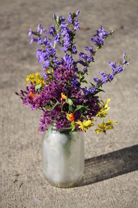 High angle view of purple flower in pot