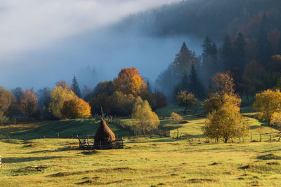 Trees on field against sky during autumn