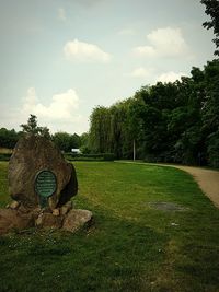 Trees on grassy field