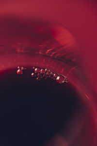 Close-up of water drops against red background