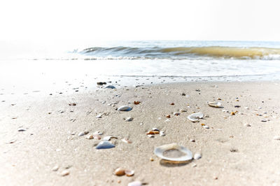 Scenic view of beach