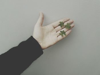 Cropped hand with leaves against gray background