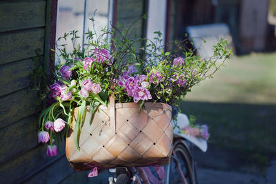 Close-up of pink flower pot