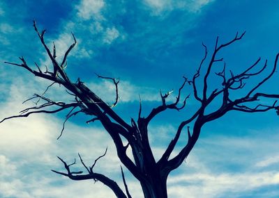 Low angle view of bare tree against cloudy sky