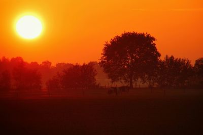 Scenic view of landscape at sunset