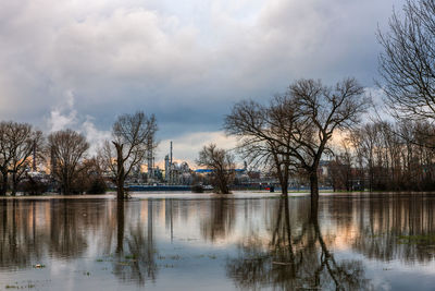 Flood on the rhine near cologne, germany.