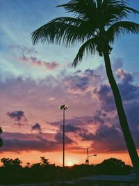 Palm trees against sky during sunset