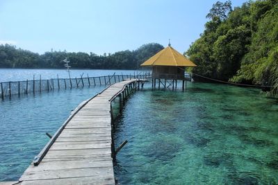 Pier amidst trees against sky