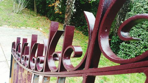 Close-up of wooden bench in park