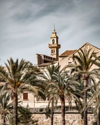 Palm trees and building against sky