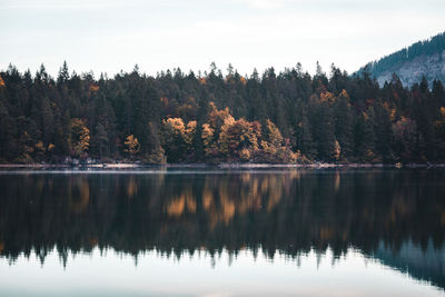 Reflection of trees in lake against sky