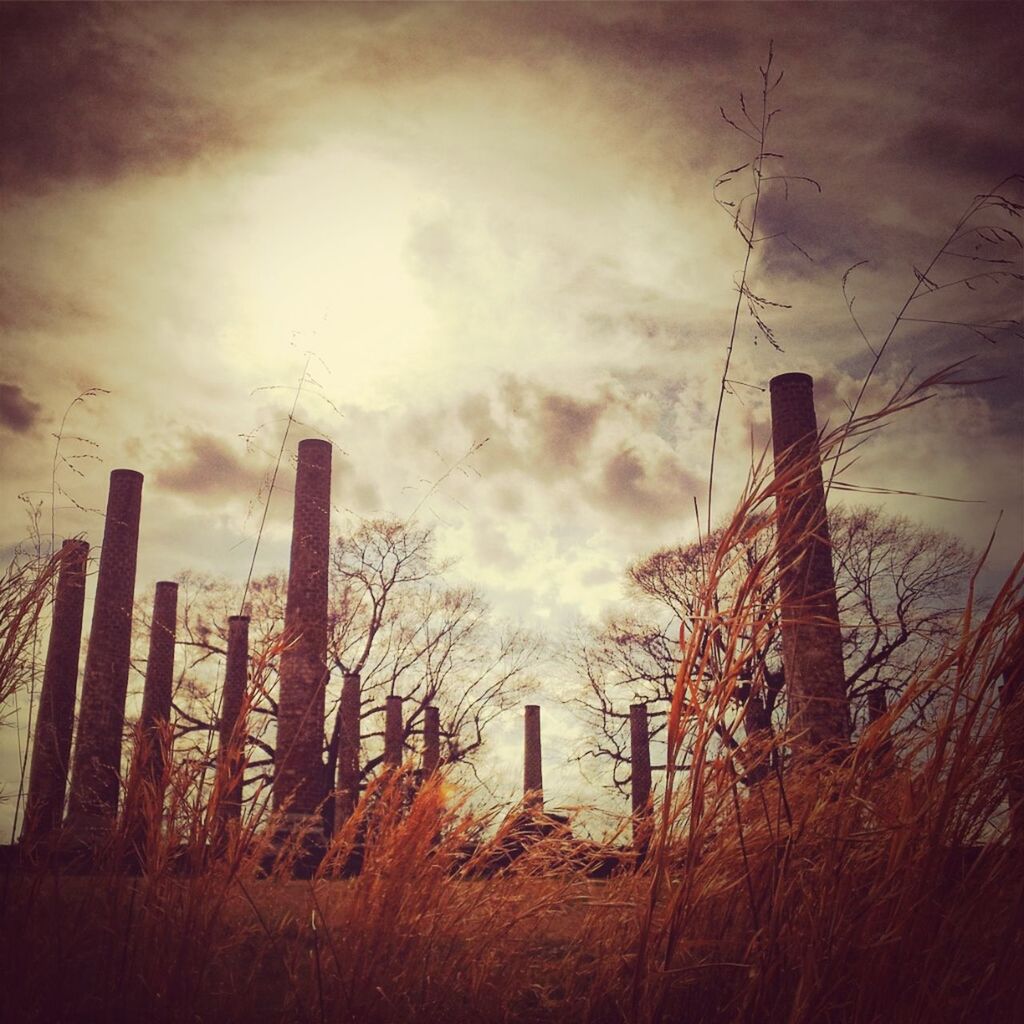 sky, cloud - sky, cloudy, weather, tree, low angle view, silhouette, nature, growth, overcast, tranquility, auto post production filter, dusk, sunset, field, bare tree, outdoors, no people, tranquil scene, storm cloud