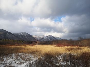 Scenic view of field against sky